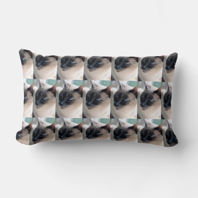 Aloof Siamese Cat Lumbar Pillow Lendenkissen (Vorderseite)