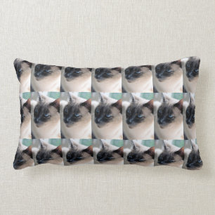 Aloof Siamese Cat Lumbar Pillow Lendenkissen