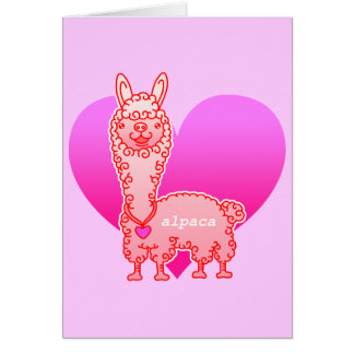 alpaca2