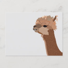 Alpaca Animal Niedlich Postkarte