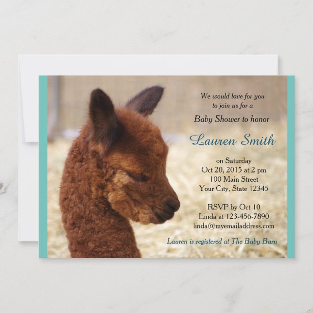 Alpaca Baby Shower Invitations Boy Einladung (Vorderseite)