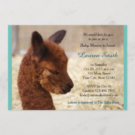 Alpaca Baby Shower Invitations Boy Einladung