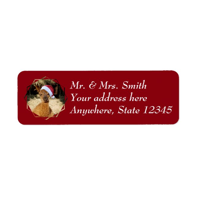 Alpaca Christmas Address Labels (Vorne)