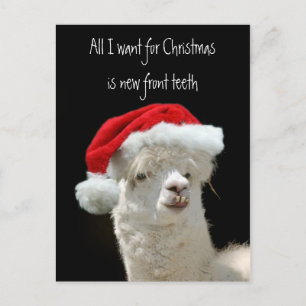 Alpaca Christmas Feiertagspostkarte