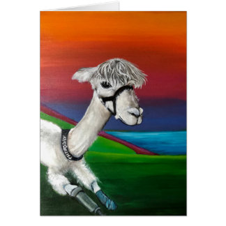 Alpaca - Donnerstag wird gut mit Geschichte