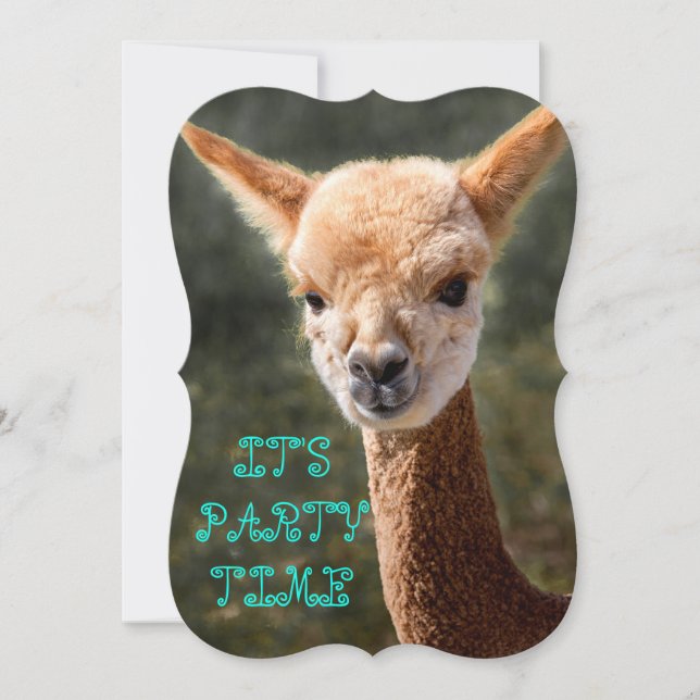Alpaca Einladung (Vorderseite)