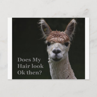 Alpaca-Fairstyle Postkarte