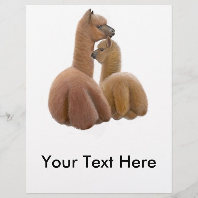 Alpaca Friends Flyer (Vorne)