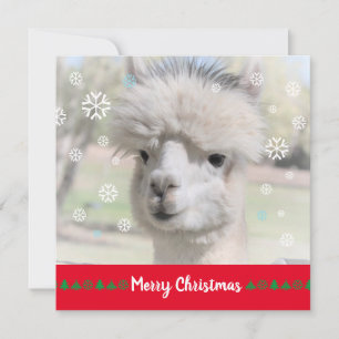 Alpaca Frohe Weihnachtskarte Karte