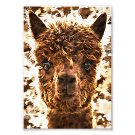 Alpaca Full Faces Fotodruck