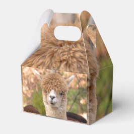 Alpaca-Geschenkboxen Geschenkschachtel