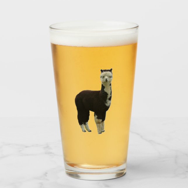Alpaca Glas (Vorne (Gefüllt))