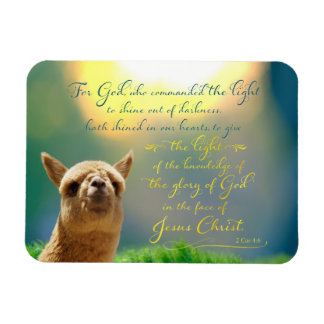 Alpaca Gold Aquamarine Bibel Verse Foto Magnet
