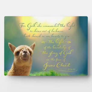 Alpaca Gold Aquamarines Biokonzept Easel Plaque Fotoplatte