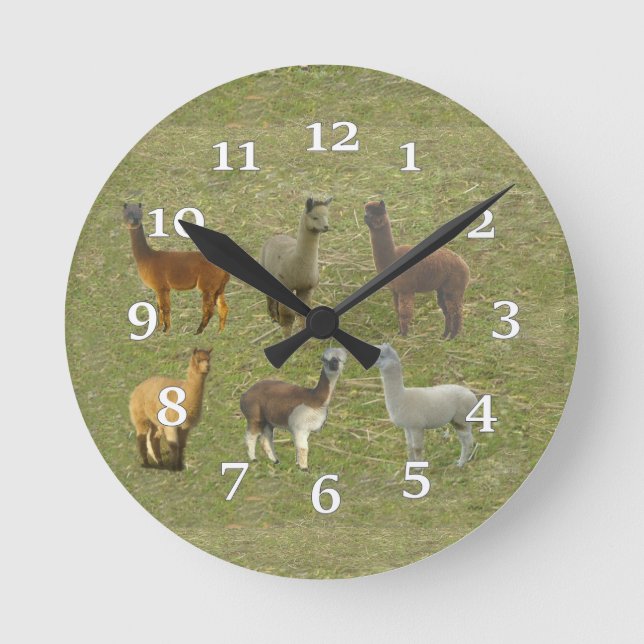 Alpaca Group Wall Clock Runde Wanduhr (Vorderseite)