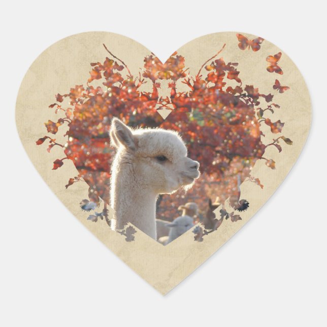 Alpaca Heart Stickers (Vorderseite)