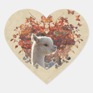 Alpaca Heart Stickers