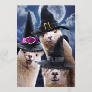 Alpaca-Hexen Einladung