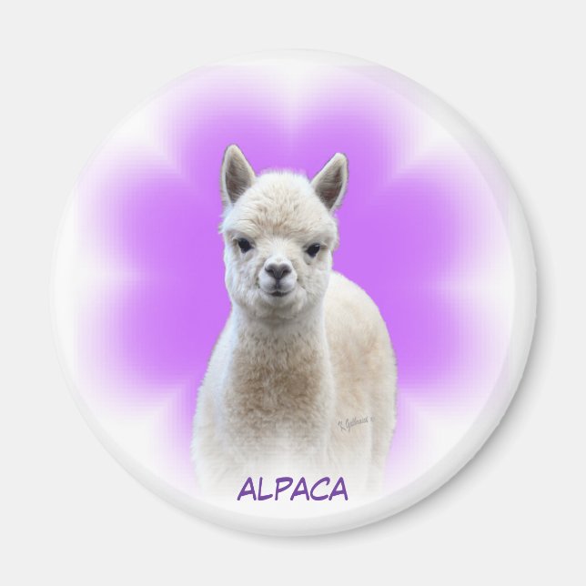 Alpaca Hope Magnet (Vorne)