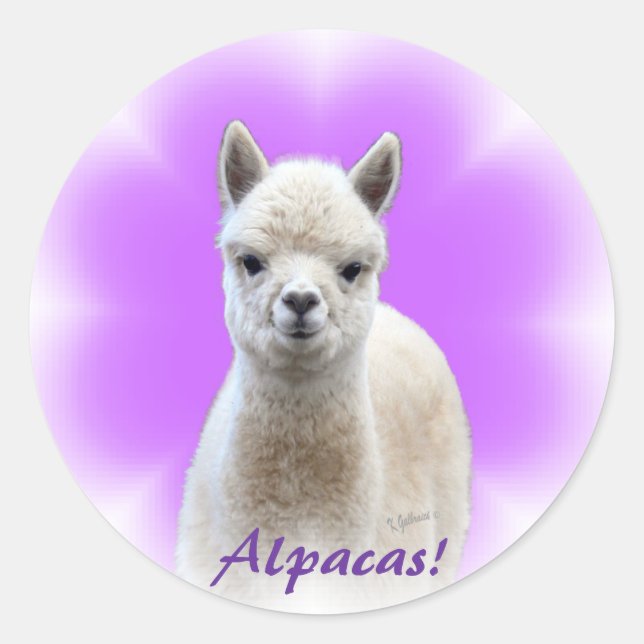 Alpaca Hope Stickers (Vorderseite)