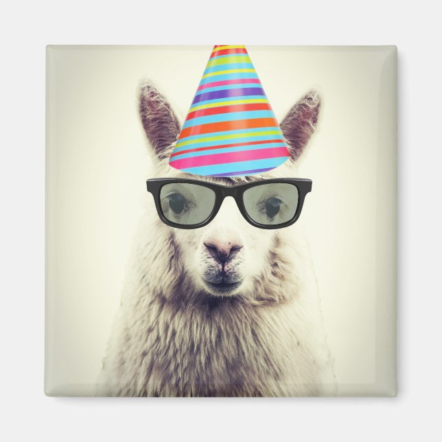 Alpaca in Brille und Party Hat Magnet (Vorne)