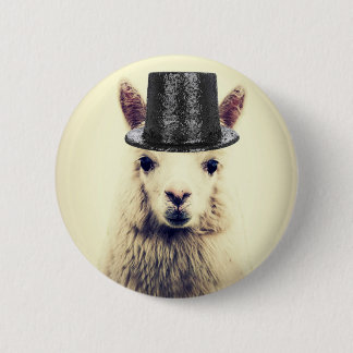 Alpaca in einem Tophat Button