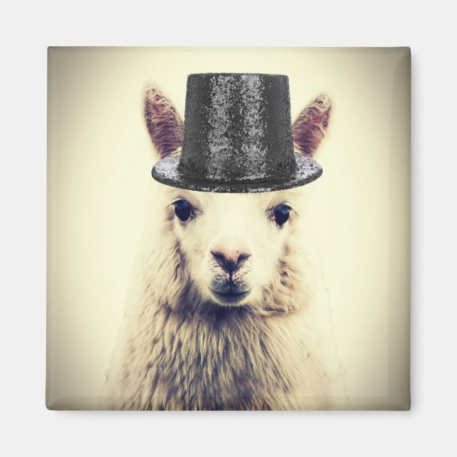 Alpaca in einem Tophat Magnet (Vorne)