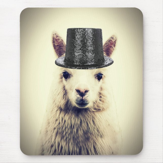 Alpaca in einem Tophat Mousepad (Vorne)