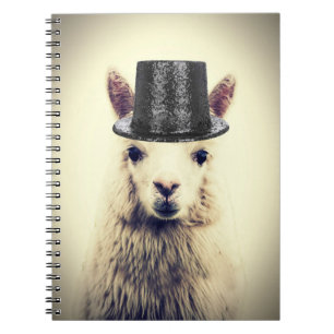 Alpaca in einem Tophat Notizblock