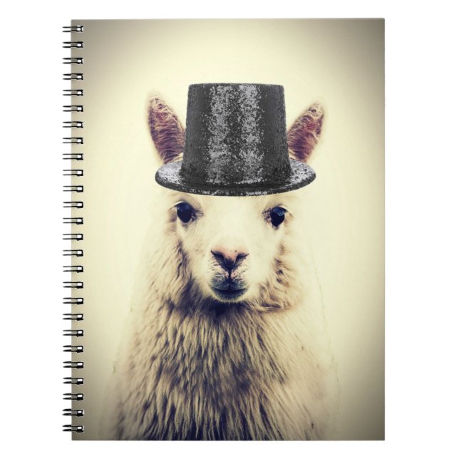 Alpaca in einem Tophat Notizblock (Vorderseite)