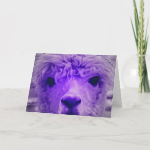 Alpaca in einer anderen Farbe Karte