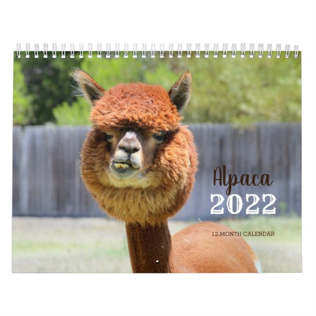 Alpaca-Kalender 2022 Kalender (Titelbild)
