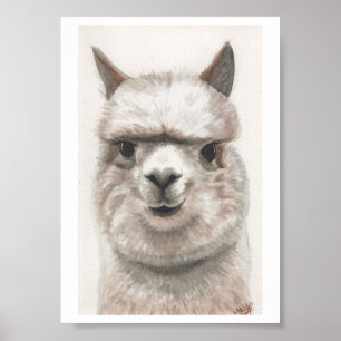 Alpaca Lächeln Kunstdrucke bereit für die Framing Poster