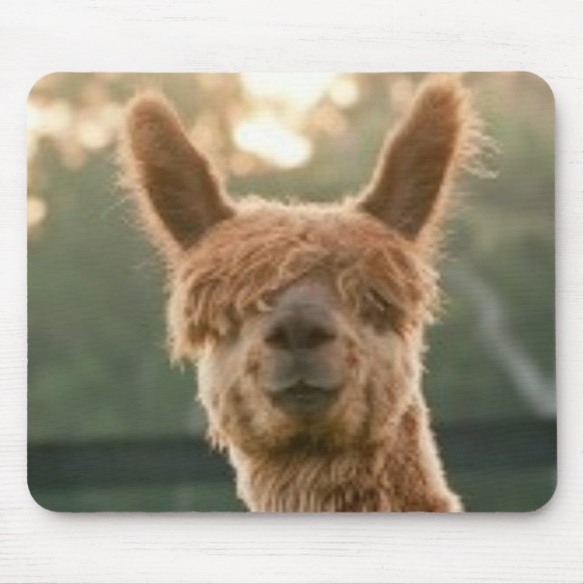 Alpaca Lächelnde Mauspad (Vorne)