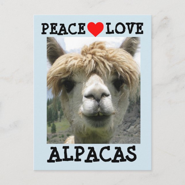 ALPACA LIEBE POSTCARDS POSTKARTE (Vorderseite)