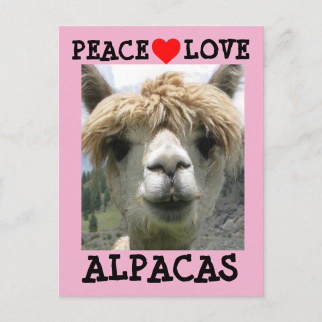 ALPACA LIEBE POSTCARDS POSTKARTE (Vorderseite)