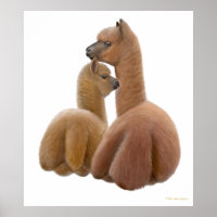 Alpaca Liebe Print
