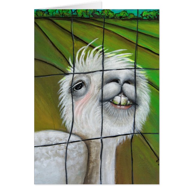 Alpaca - Little Dreamer Note Card (Vorne)