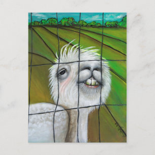 Alpaca - Little Dreamer Postkarte