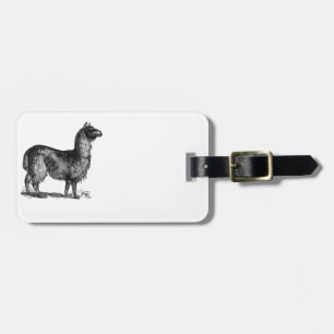 Alpaca Llama Niedlich Peru Landschaft Art Gepäckanhänger