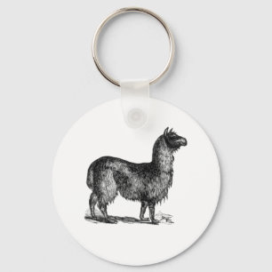 Alpaca Llama Niedlich Peru Landschaft Art Schlüsselanhänger