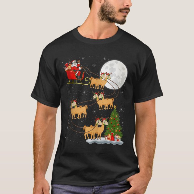 Alpaca Llama Santa Sleigh Flying Funny Magical Chr T-Shirt (Vorderseite)