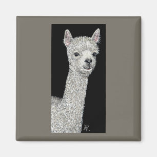 Alpaca Magnet
