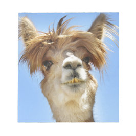 Alpaca mit Crazy Hair Notizblock