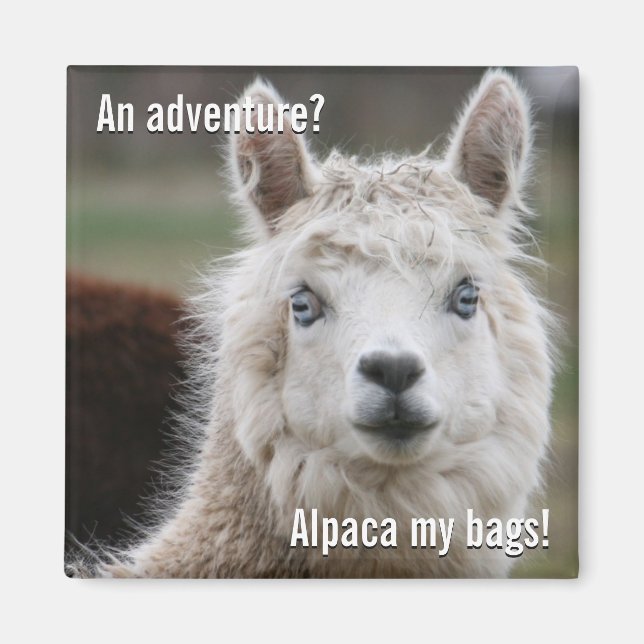 Alpaca My Bags for Adventure Magnet (Vorne)