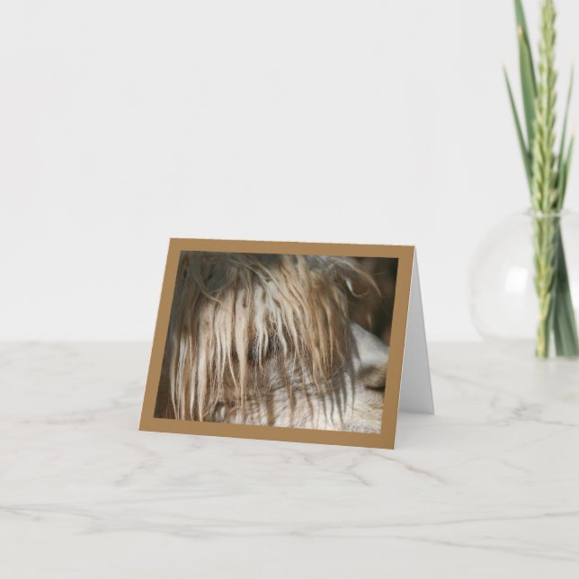 Alpaca Nah-up - Karte (Vorderseite)