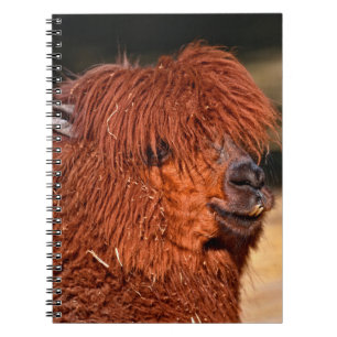 Alpaca Notizblock