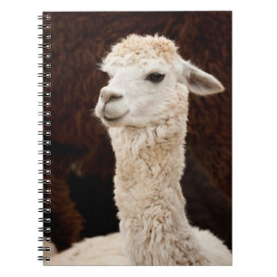 Alpaca Notizblock