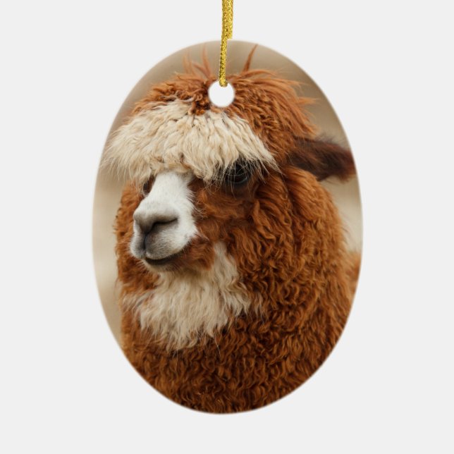 Alpaca-Ornament Keramikornament (Vorne)