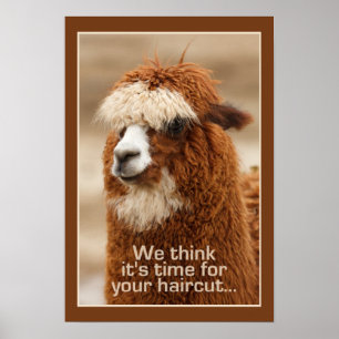 Alpaca-Plakat Poster